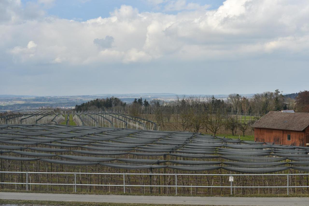 Gut Huegle Jugendzimmer Ravensburg Esterno foto